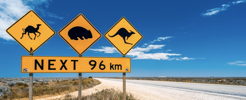 Animal crossing camel wombat kangaroo signs on Australian desert road