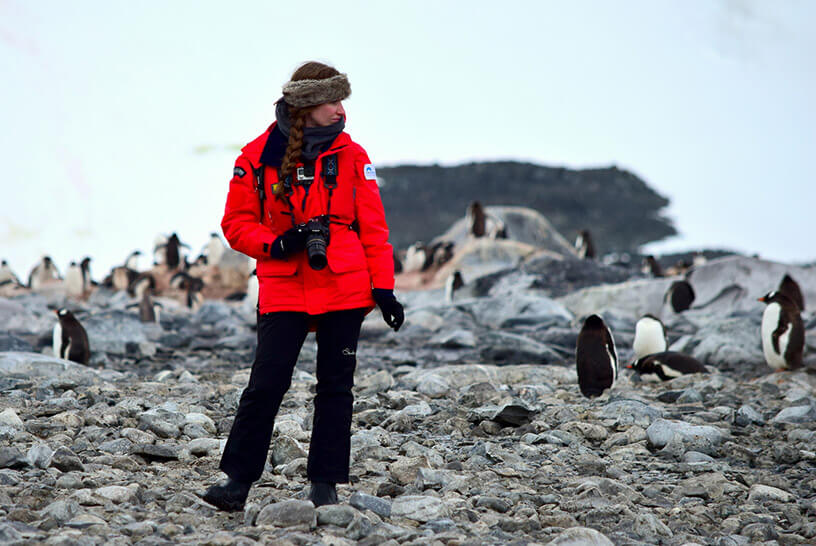 Standing amongst penguins 
