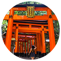 orange torii gates japan