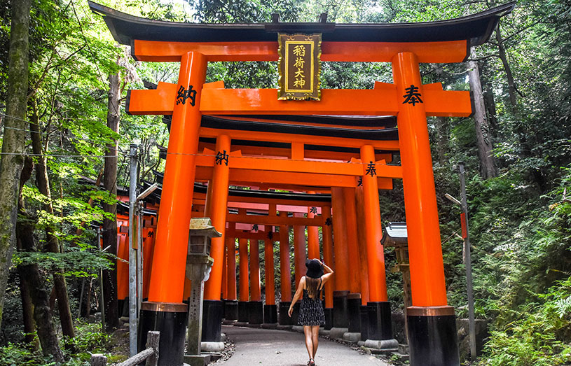 fushimi shrine gates