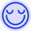 Smiley face icon