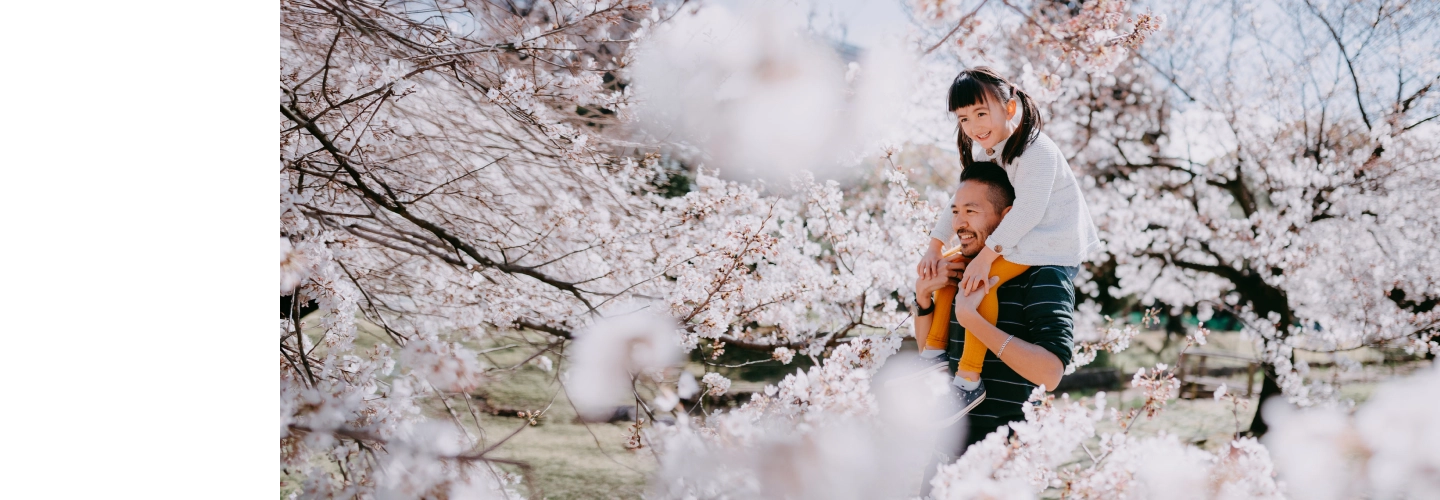 Father and daughter enjoying cherry blossoms in Japan