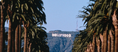 Hollywood sign and palm trees