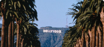 Hollywood sign and palm trees