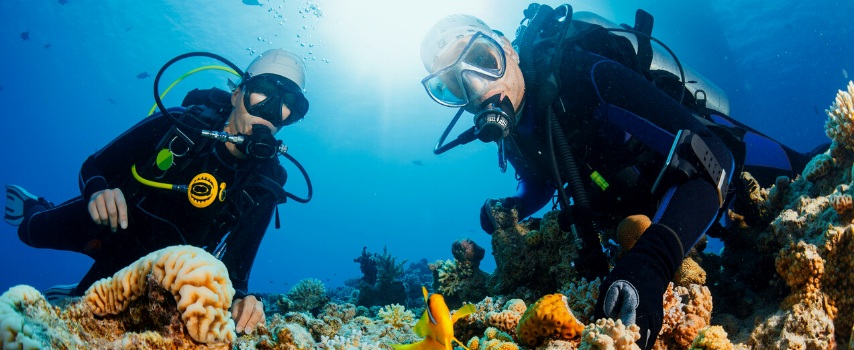 Two males scuba diving near coral reef.jpg