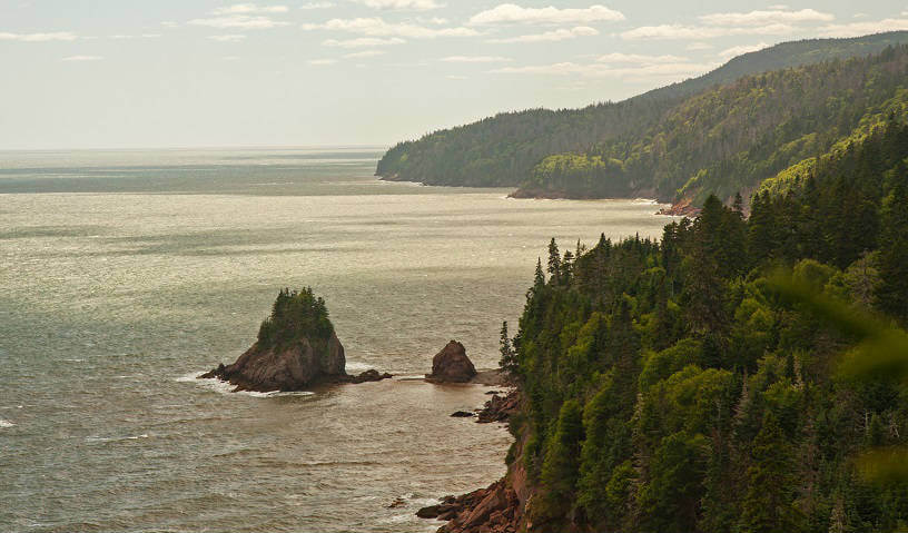 Photo from Fundy National Park, Matthew's Head Trail