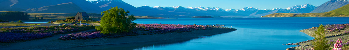 new zealand mountains in spring