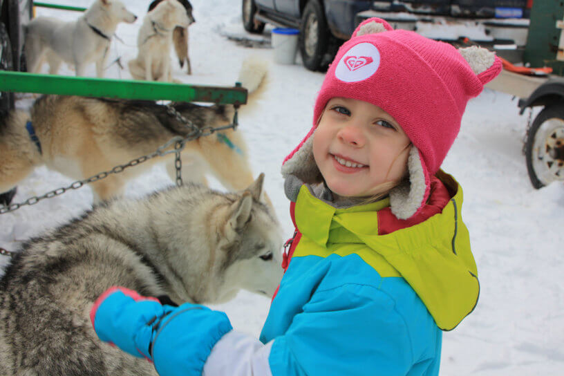 Meeting sled dogs in Bayfield