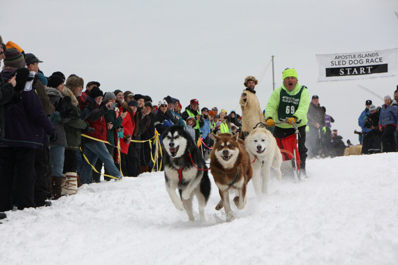 Sled dog race in Bayfield 