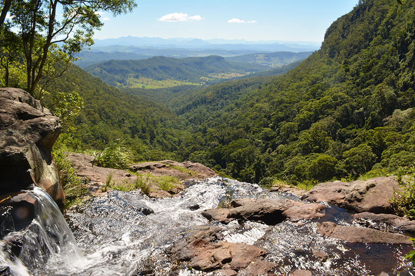 Coomera circuit, Lamington National Park, Parks and forests