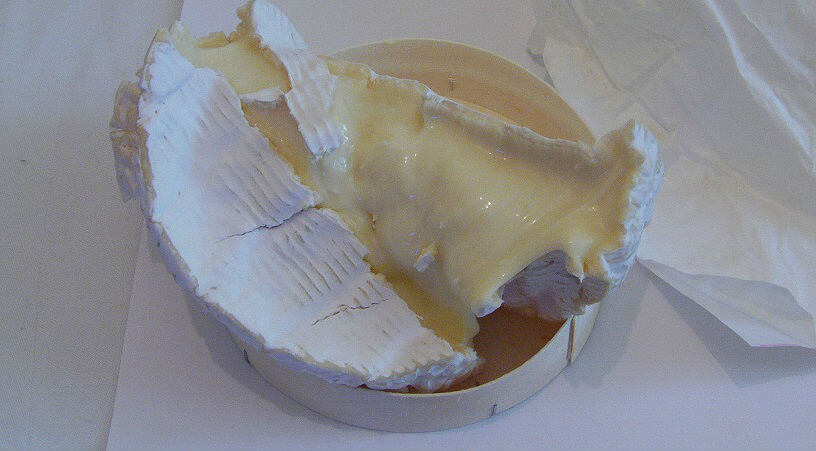 French Cheeses - Camembert