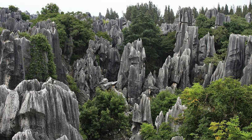 Shilin Stone Forest, China