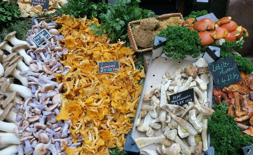 Photo of the mushrooms range at Borough Markets, UK