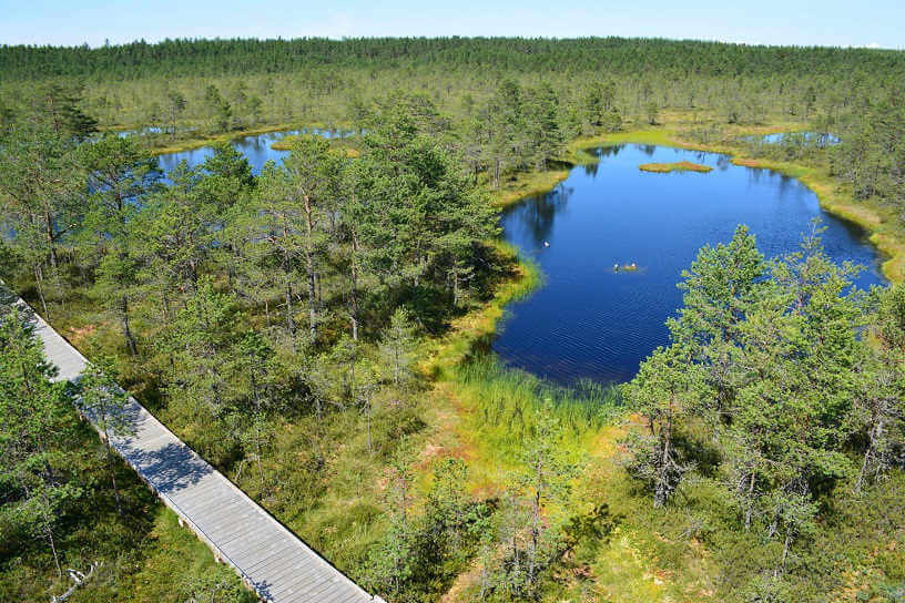 Photo from Lahemaa National Park, Estonia