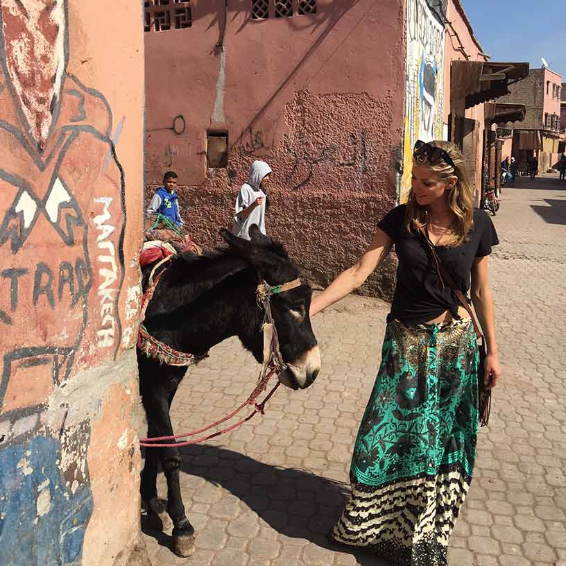 Marrakech donkey with Laura