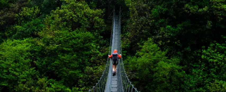You may want to consider travel insurance if hiking in New Zealand