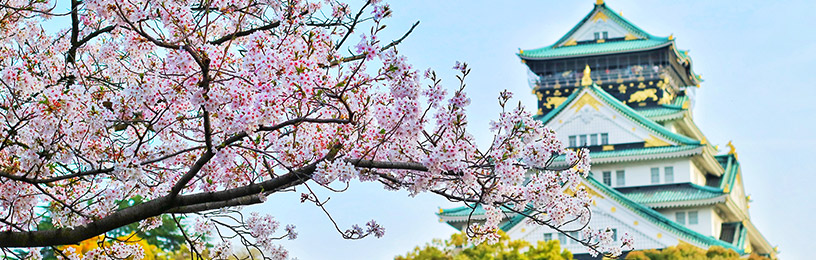 osaka-castle-cherry-blossoms