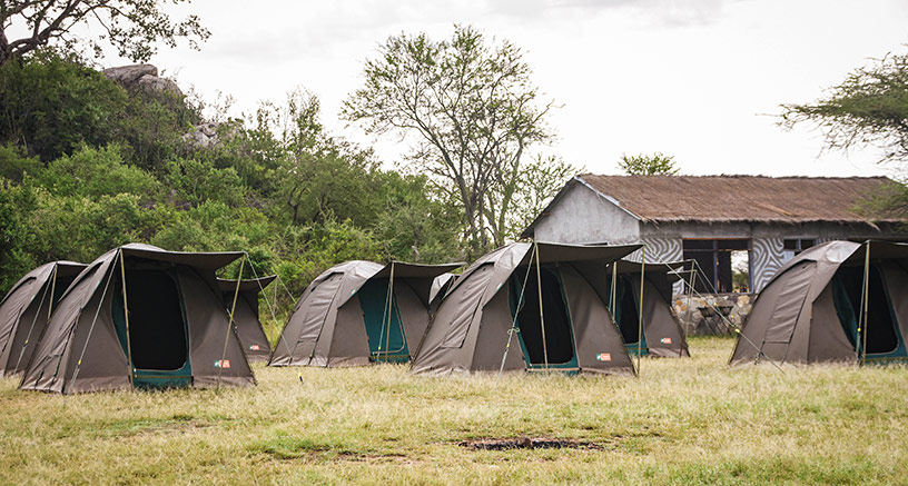 african tents on safari