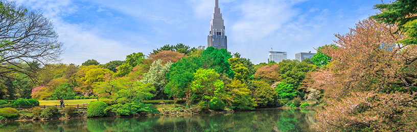 shinjuku-gyoen-tokyo-japan