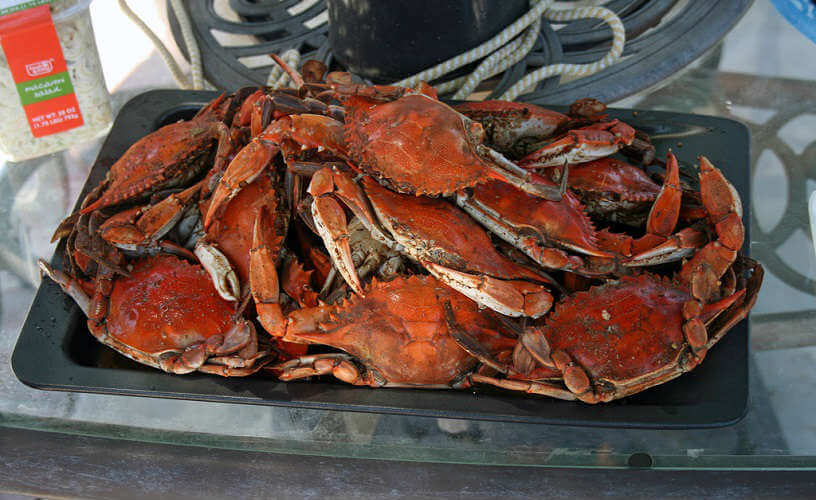 Photo of a tray full of crabs