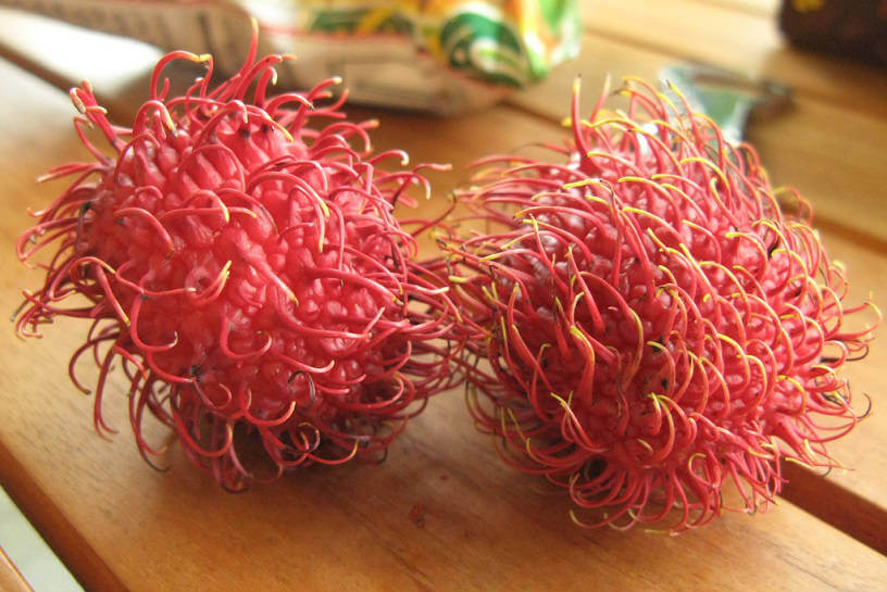 10 Strange Fruits & Where to Find Them CoverMore Australia