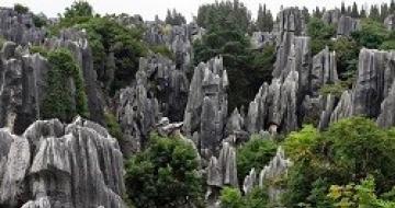 Thumbnail image of Shilin Stone Forest, China