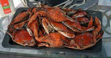 Thumbnail image of a tray of crabs