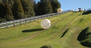 Thumbnail image of Zorbing in New Zealand