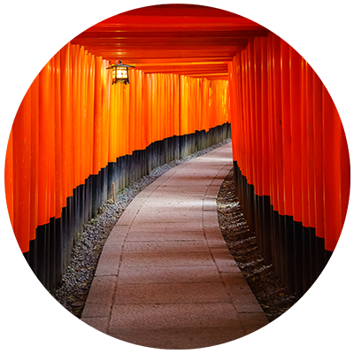 torii gates in kyoto japan
