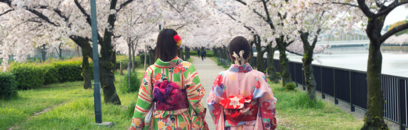 traditional-japanese-kimono-sakura-garden-osaka