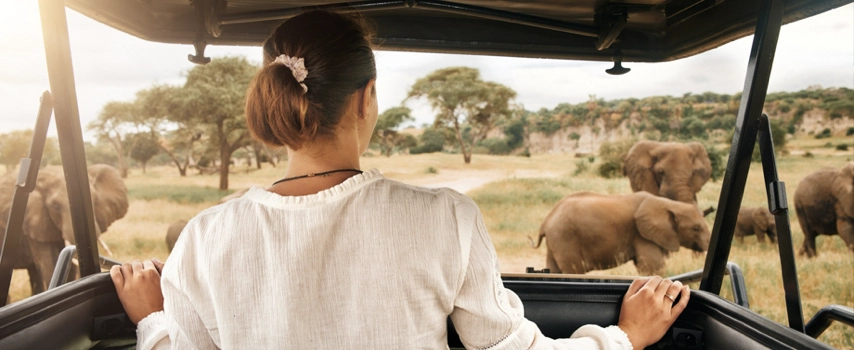 Woman on African safari with wild elephants